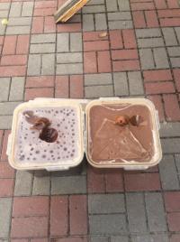 ̸� ���������