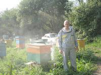 Продам пчелосемьи с ульями