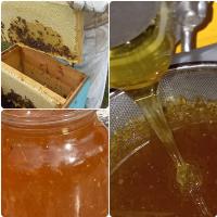 Продам мед липовый