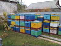 Продам мед оптом.2014 года сбора
