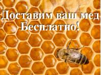 Мед оптом от производителя от 65 руб/кг